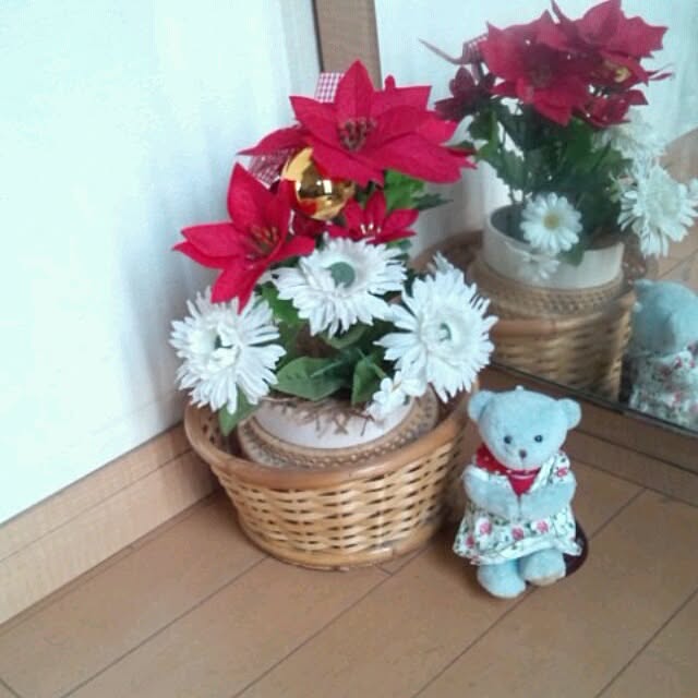 asa0521さんの実例写真