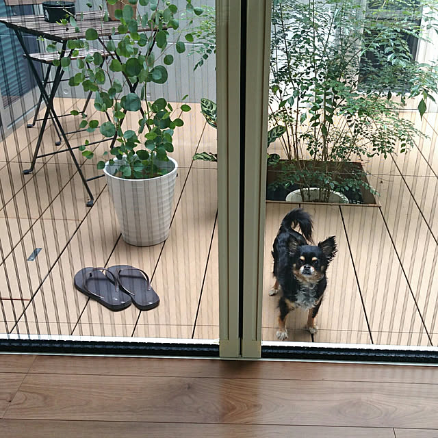 tomoさんの実例写真