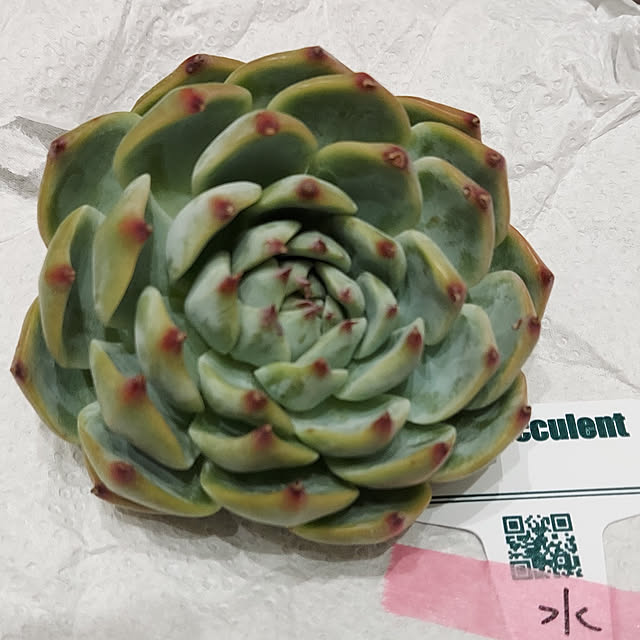 HIRO.TA29さんの実例写真