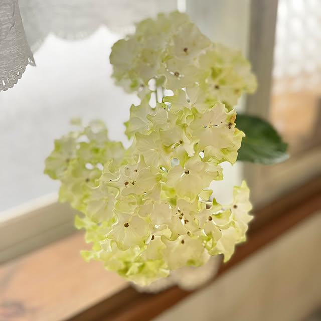 rookuさんの部屋