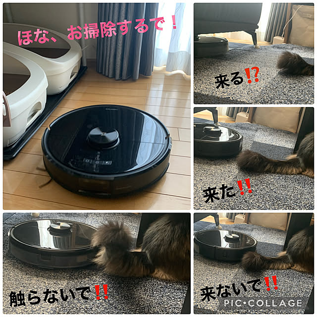 yukarin-gardenさんの実例写真