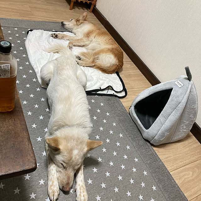 cheminさんの実例写真