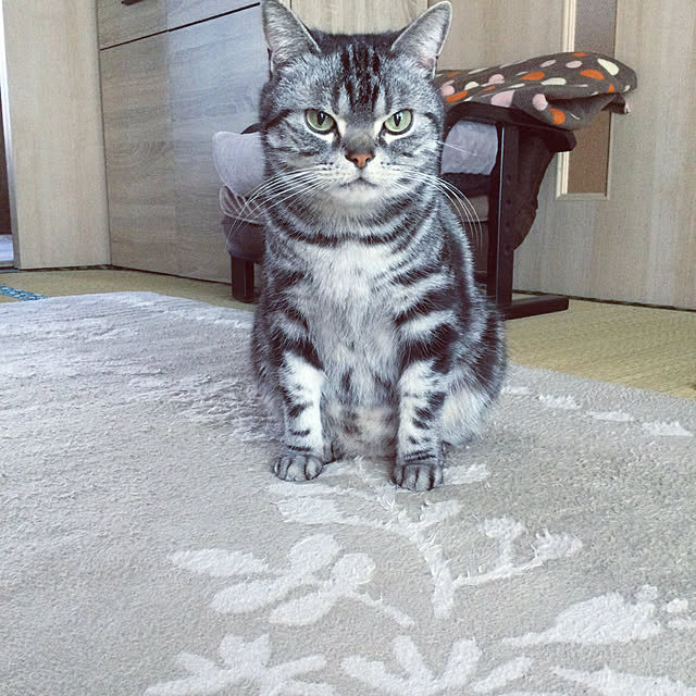 richanさんの実例写真