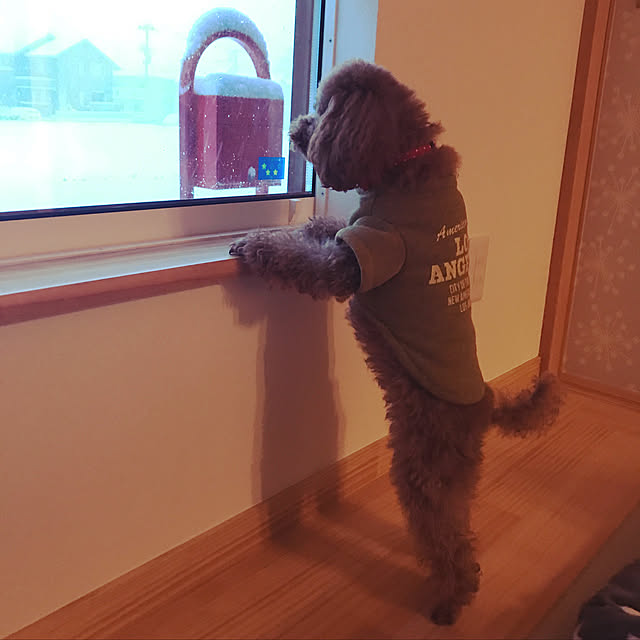 Mayaさんの実例写真