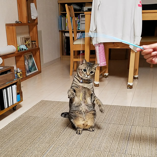 t-famさんの実例写真