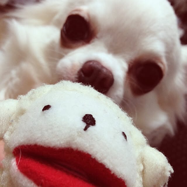 Emiさんの実例写真