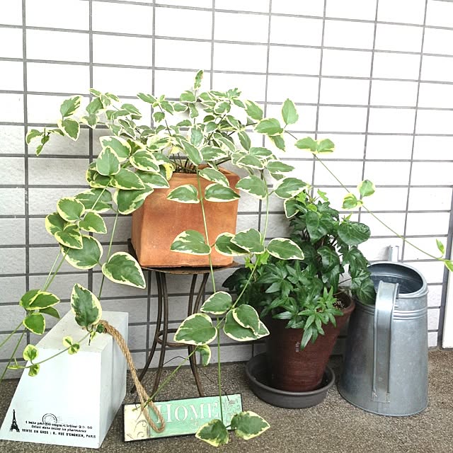 Akikoさんの実例写真