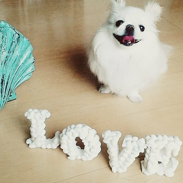 7shellさんの実例写真