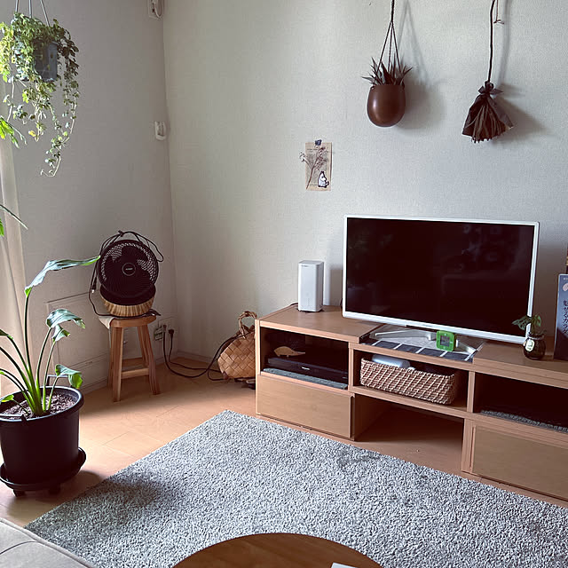 部屋全体/すっきり暮らしたい/観葉植物のインテリア実例 - 2024-09-15 08:39:51