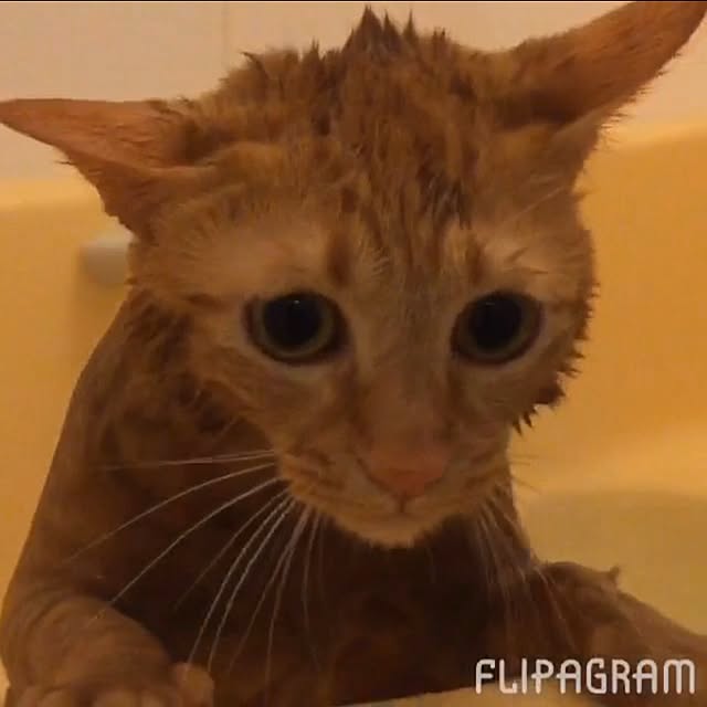 hiro3さんの実例写真