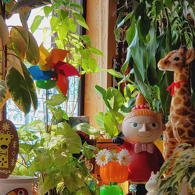kumutanさんの実例写真