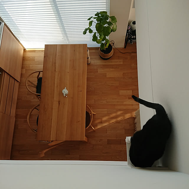 kamefukuさんの実例写真