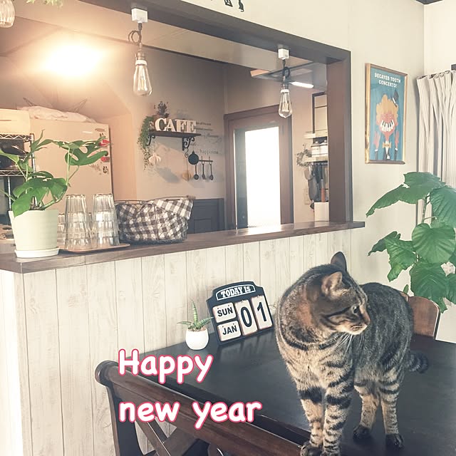 mayuさんの実例写真