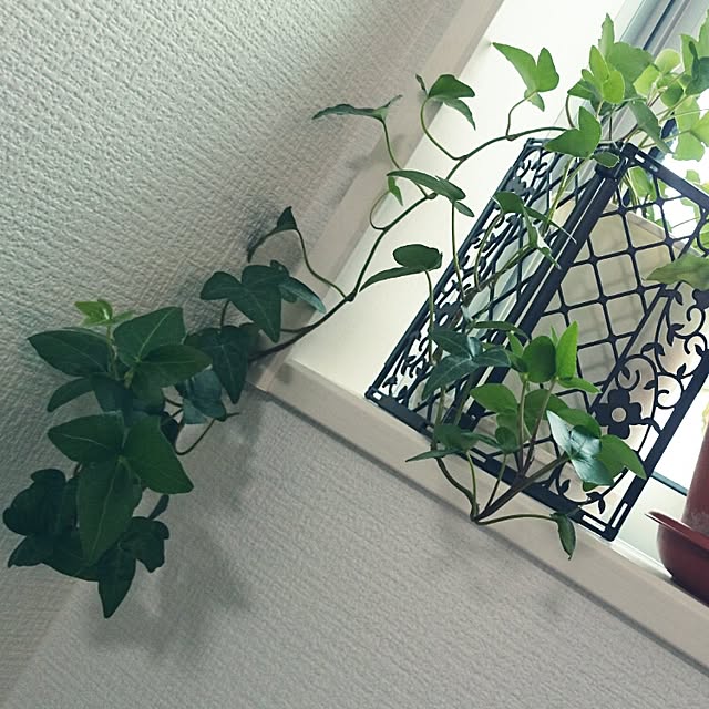 Yu-.-ki_kさんの実例写真