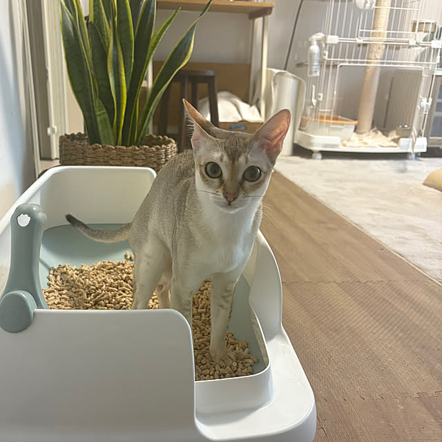 noriさんの部屋