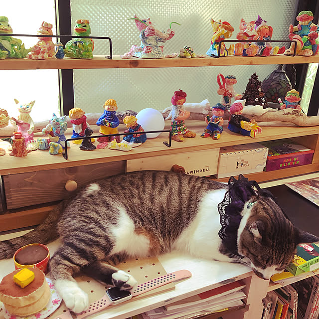 jijiさんの実例写真