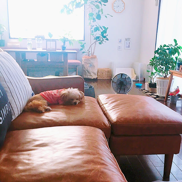 risaさんの実例写真