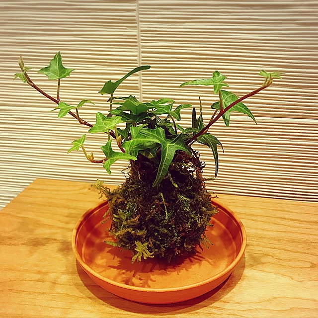 yucoさんの実例写真