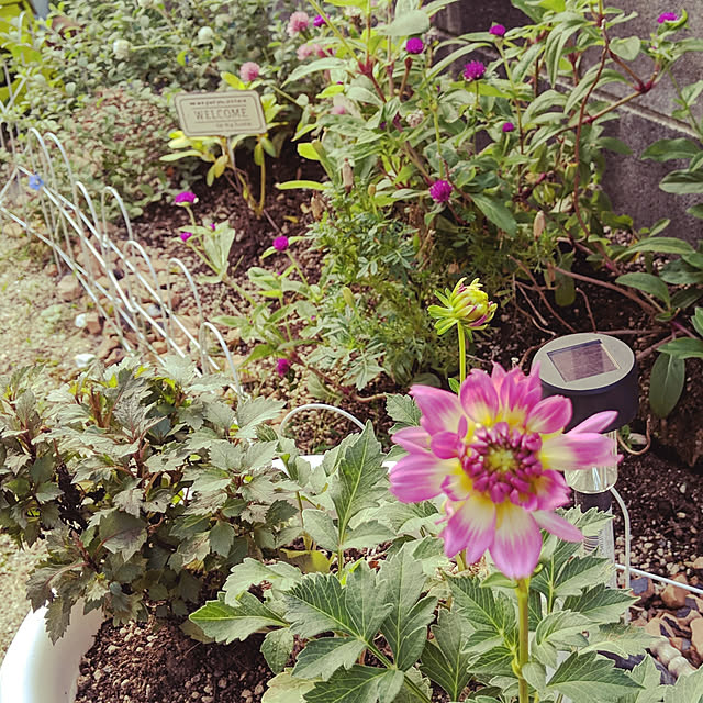 HIROMINさんの実例写真