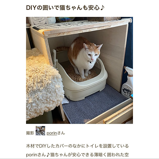 porinさんの実例写真
