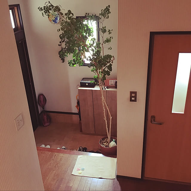 mamegohanさんの実例写真