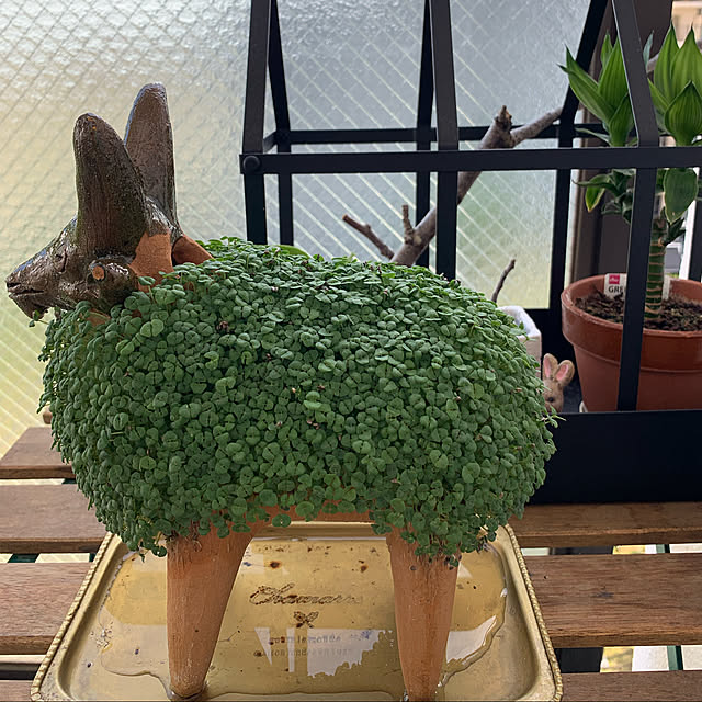 aureaさんの実例写真
