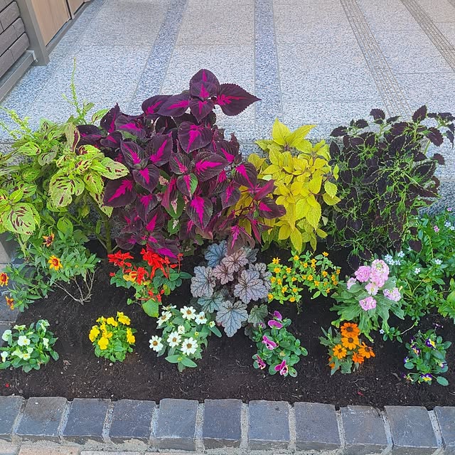 yumi.grandsaisonさんの部屋