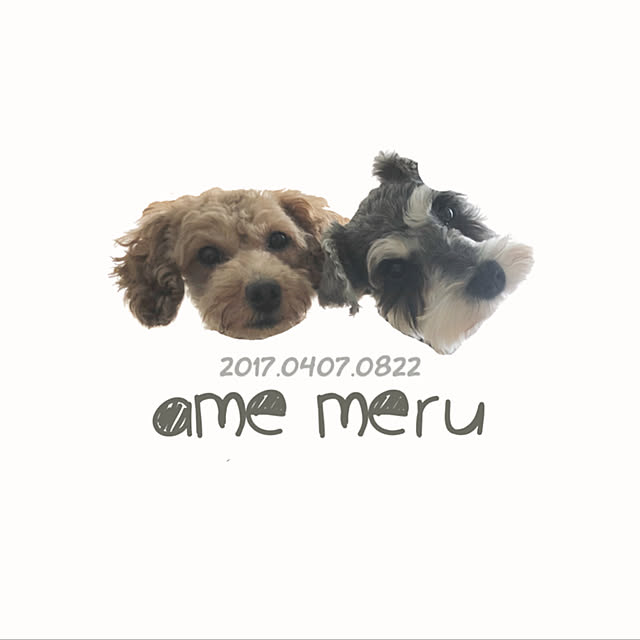amemeruさんの実例写真