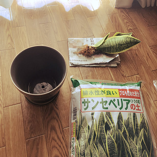 nya-さんの実例写真