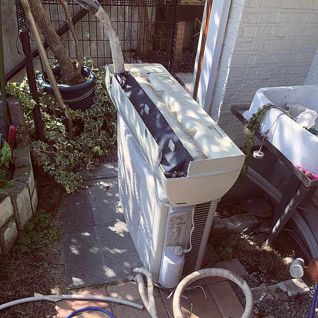 osarunoeijiさんの実例写真