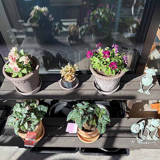 kumaさんの実例写真