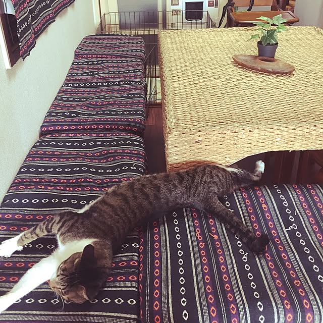 rumikoさんの実例写真