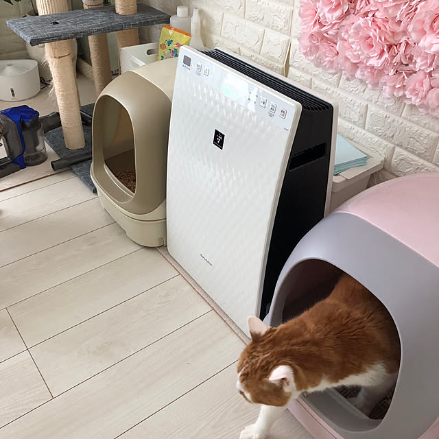 mikenekoさんの部屋