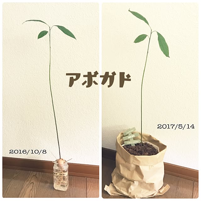 keeeikoooさんの実例写真