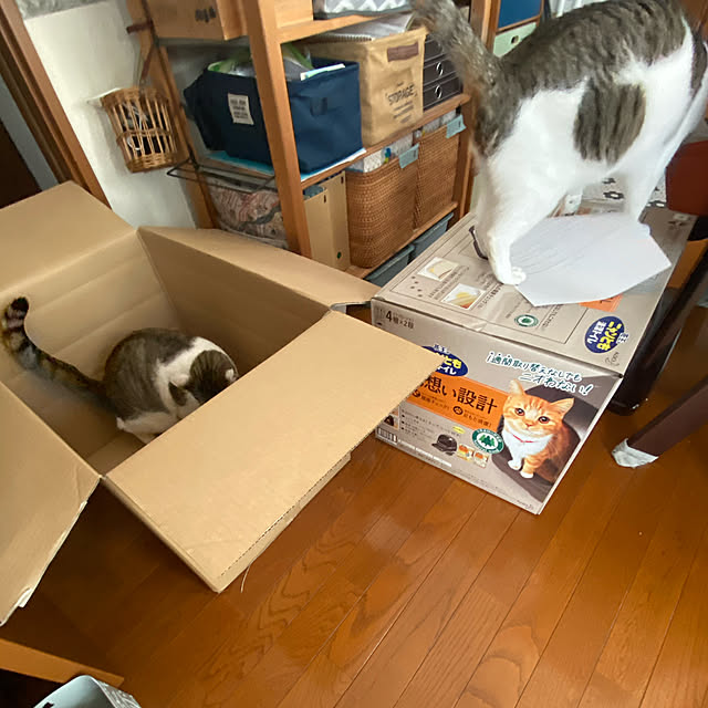 Lufuさんの実例写真