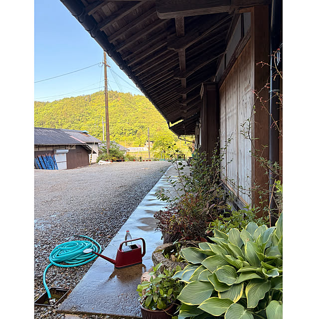 cotaさんの部屋