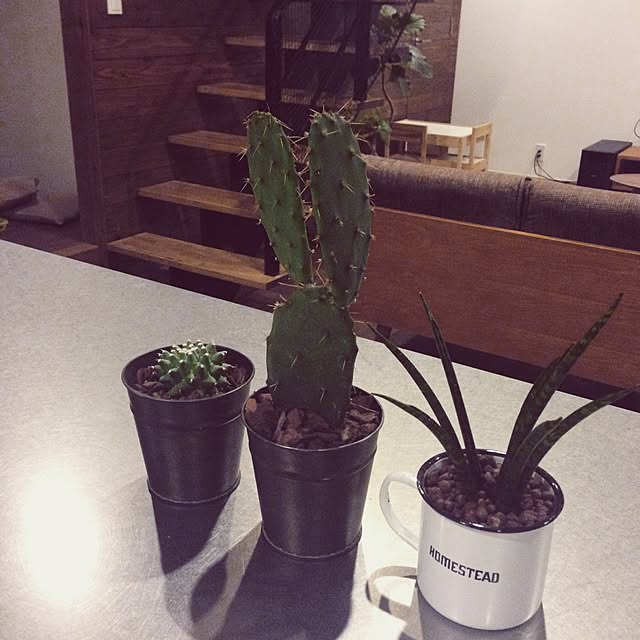 mikiさんの実例写真