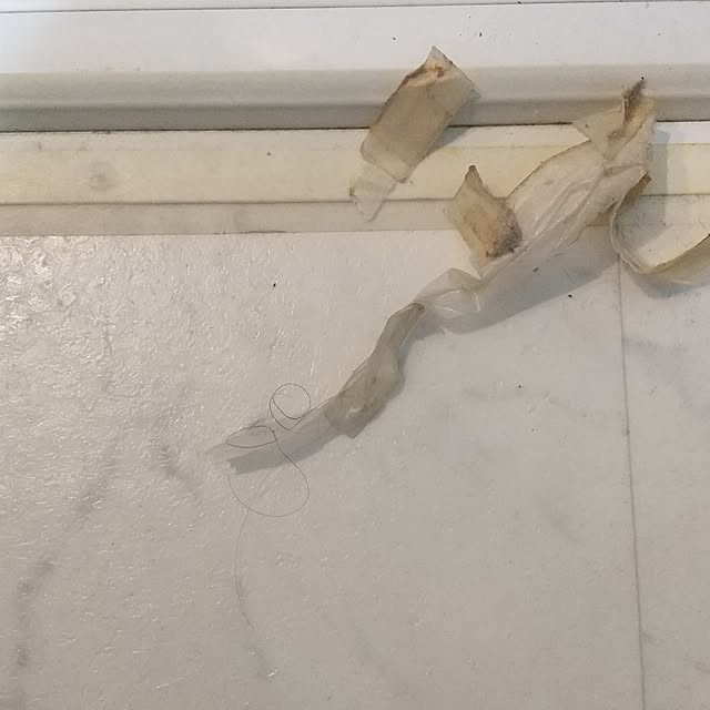 Rさんの部屋