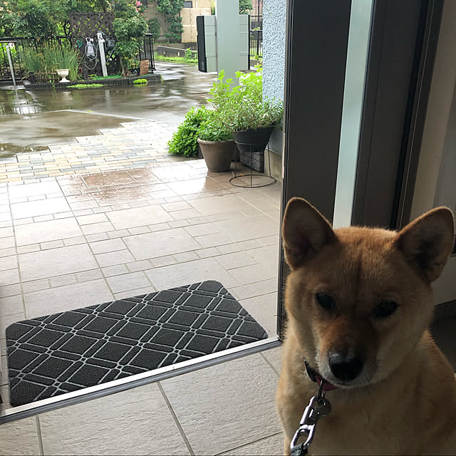 a-iさんの実例写真