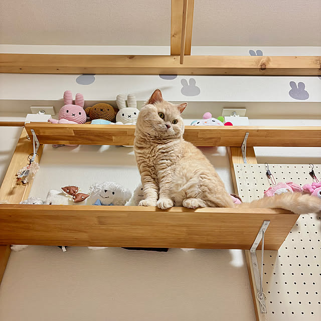 naokoさんの実例写真