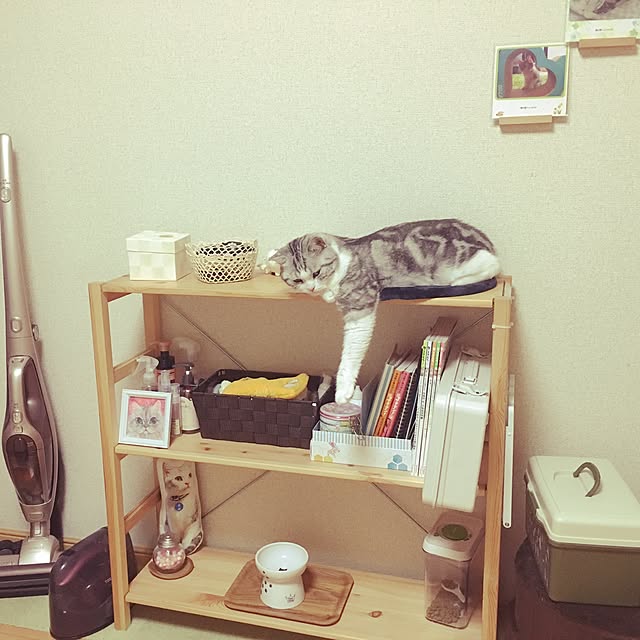 narashimhaさんの実例写真