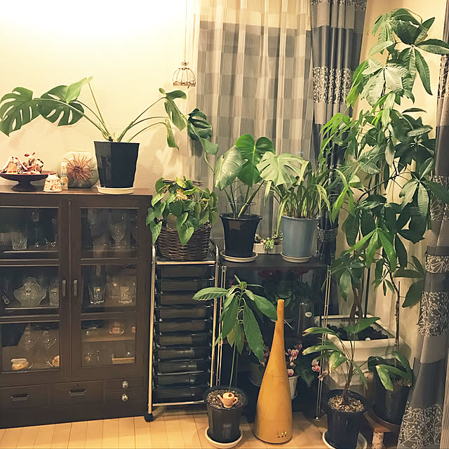 m.h.mammyさんの実例写真