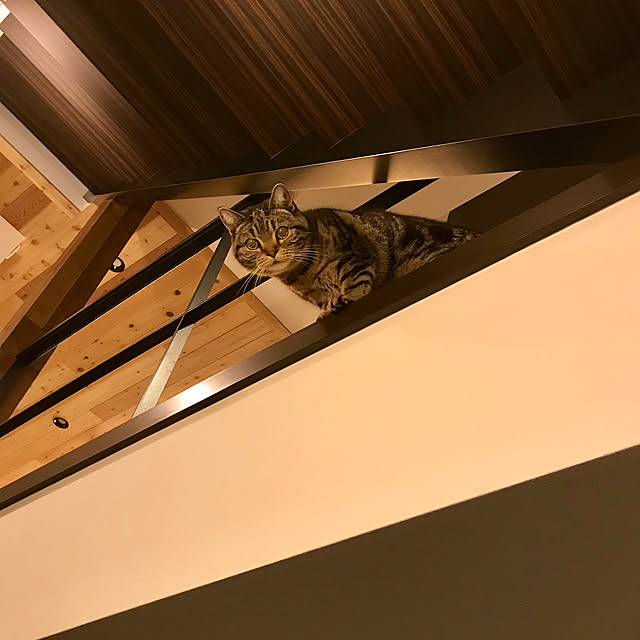 kaedeさんの実例写真