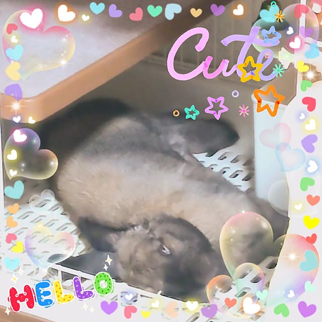 mariaさんの実例写真