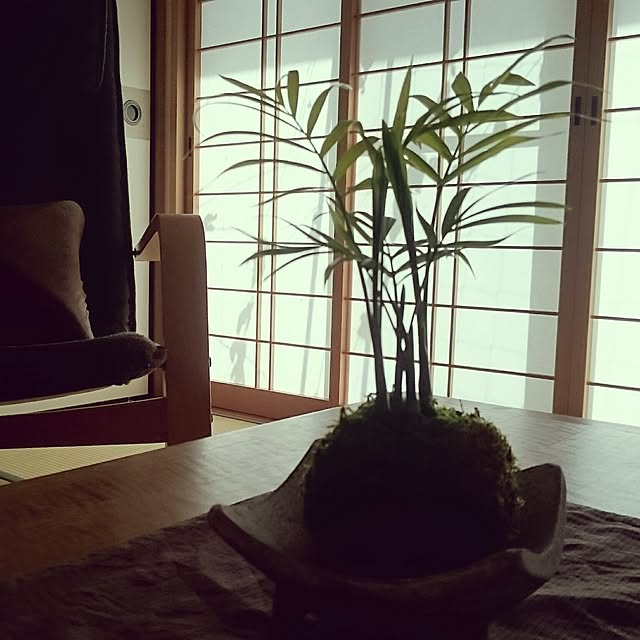 kuma56monさんの実例写真