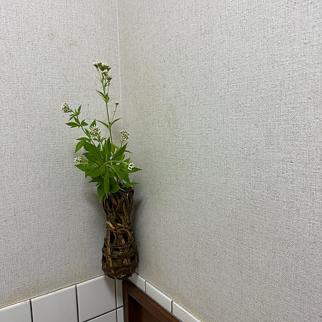 mamizaさんの部屋
