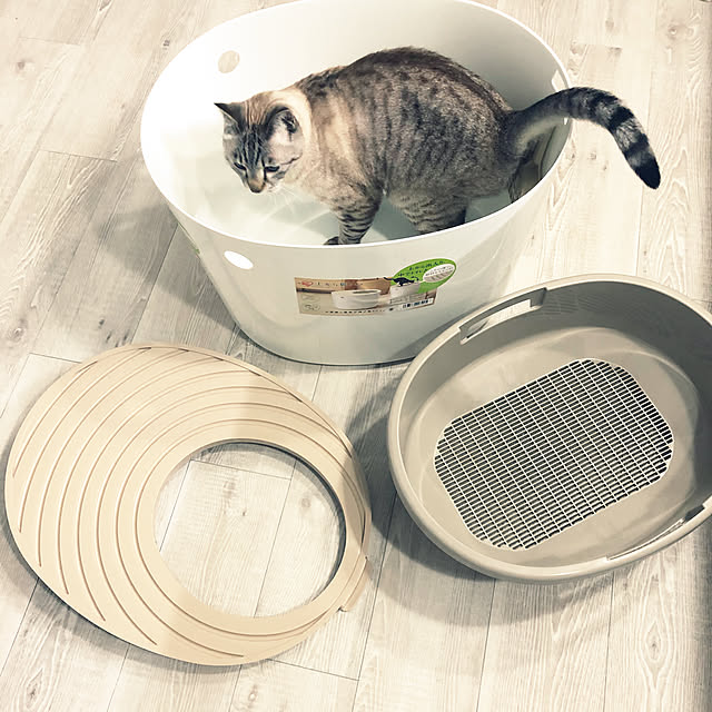 mieさんの実例写真