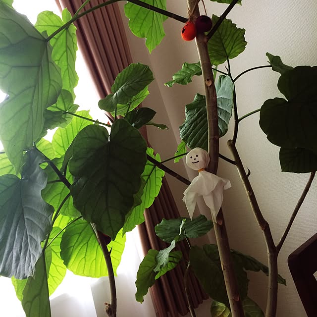 Kanaさんの実例写真