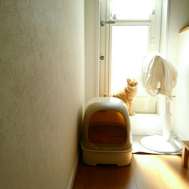 mayutan.さんの実例写真