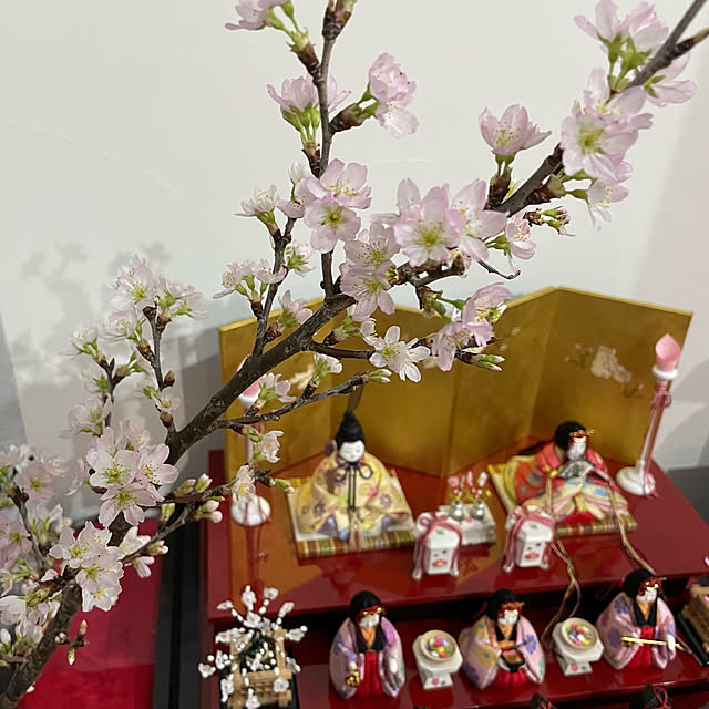 a.aさんの実例写真